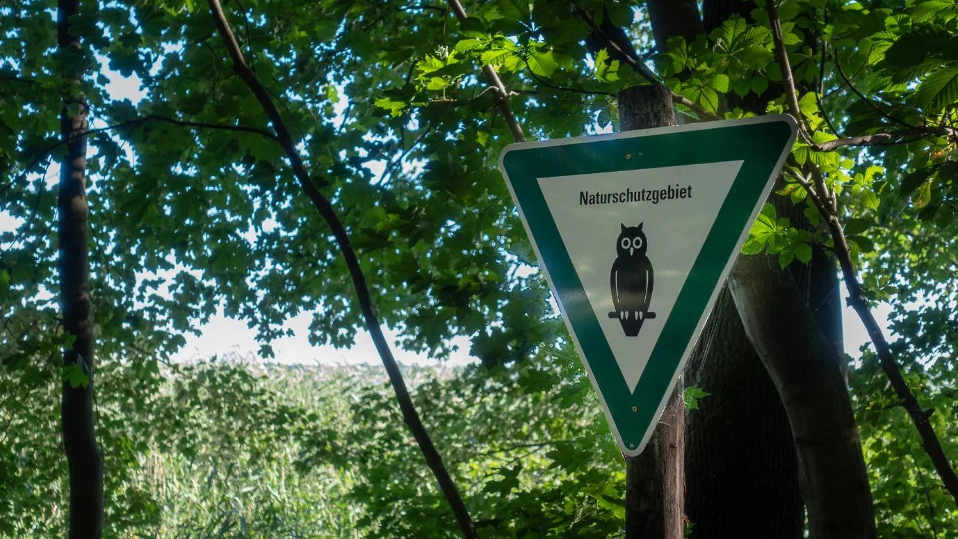 Ferienpark Ruebezahl Am Mueggelsee, Haus 16 Esche Mit Eigener Sauna, Idealer Ort Fuer Natur- Und Erholungssuchende, Fuer Radfahrer, Familien Mit Kindern Und Hundeliebhaber Berlin Semesterbostad