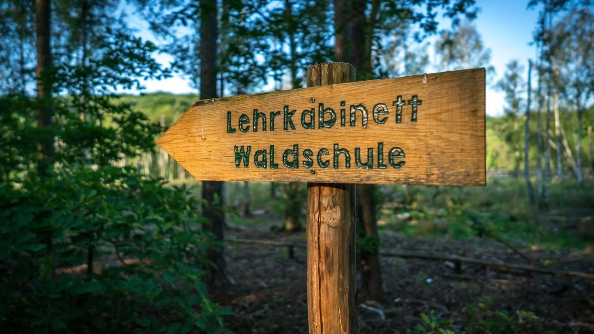 Semesterbostad Ferienpark Ruebezahl Am Mueggelsee, Haus 16 Esche Mit Eigener Sauna, Idealer Ort Fuer Natur- Und Erholungssuchende, Fuer Radfahrer, Familien Mit Kindern Und Hundeliebhaber Berlin